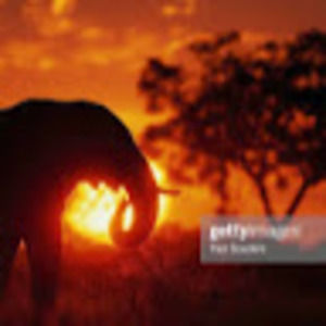 Meet your Posher, Corey